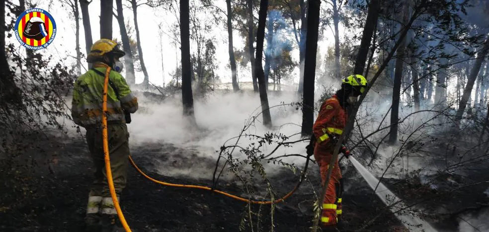 El Incendio De Oliva Afecta A 11 Hectáreas De Masa Forestal Y 5.000 ...